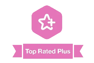 Upwork Top Rated Plus