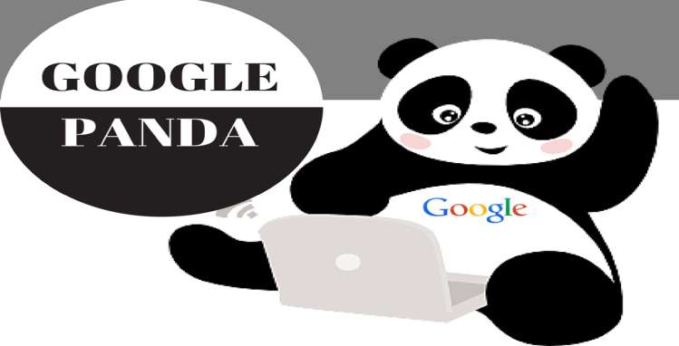 Google Panda: Content Quality Checking Search Algorithm