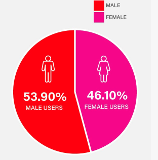 Demographics By Gender